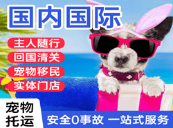 柳州航空快运国际宠物托运 【国